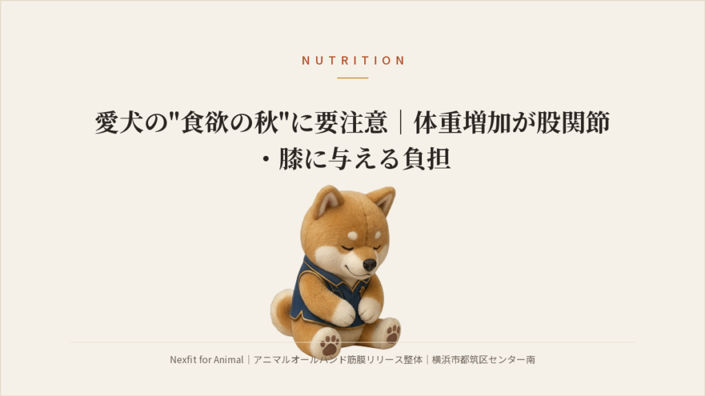 愛犬の"食欲の秋"に要注意｜体重増加が股関節・膝に与える負担