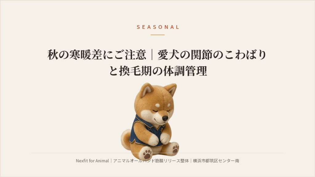 秋の寒暖差にご注意｜愛犬の関節のこわばりと換毛期の体調管理