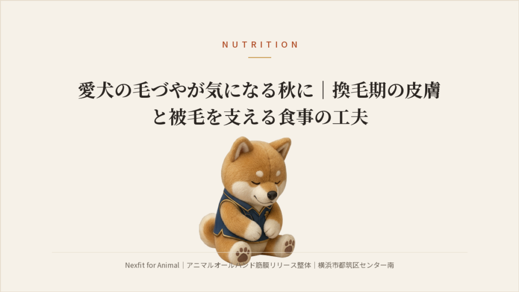 愛犬の毛づやが気になる秋に｜換毛期の皮膚と被毛を支える食事の工夫