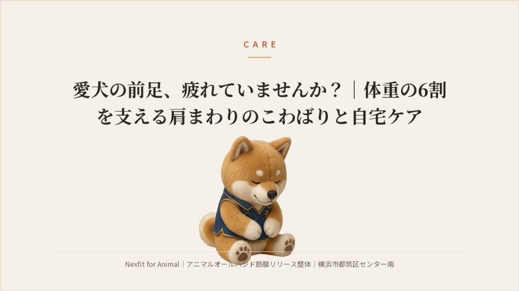 愛犬の前足、疲れていませんか？｜体重の6割を支える肩まわりのこわばりと自宅ケア