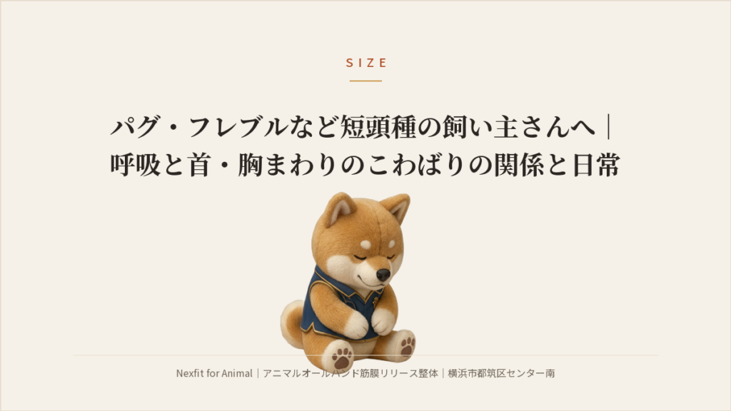 パグ・フレブルなど短頭種の飼い主さんへ｜呼吸と首・胸まわりのこわばりの関係と日常ケア